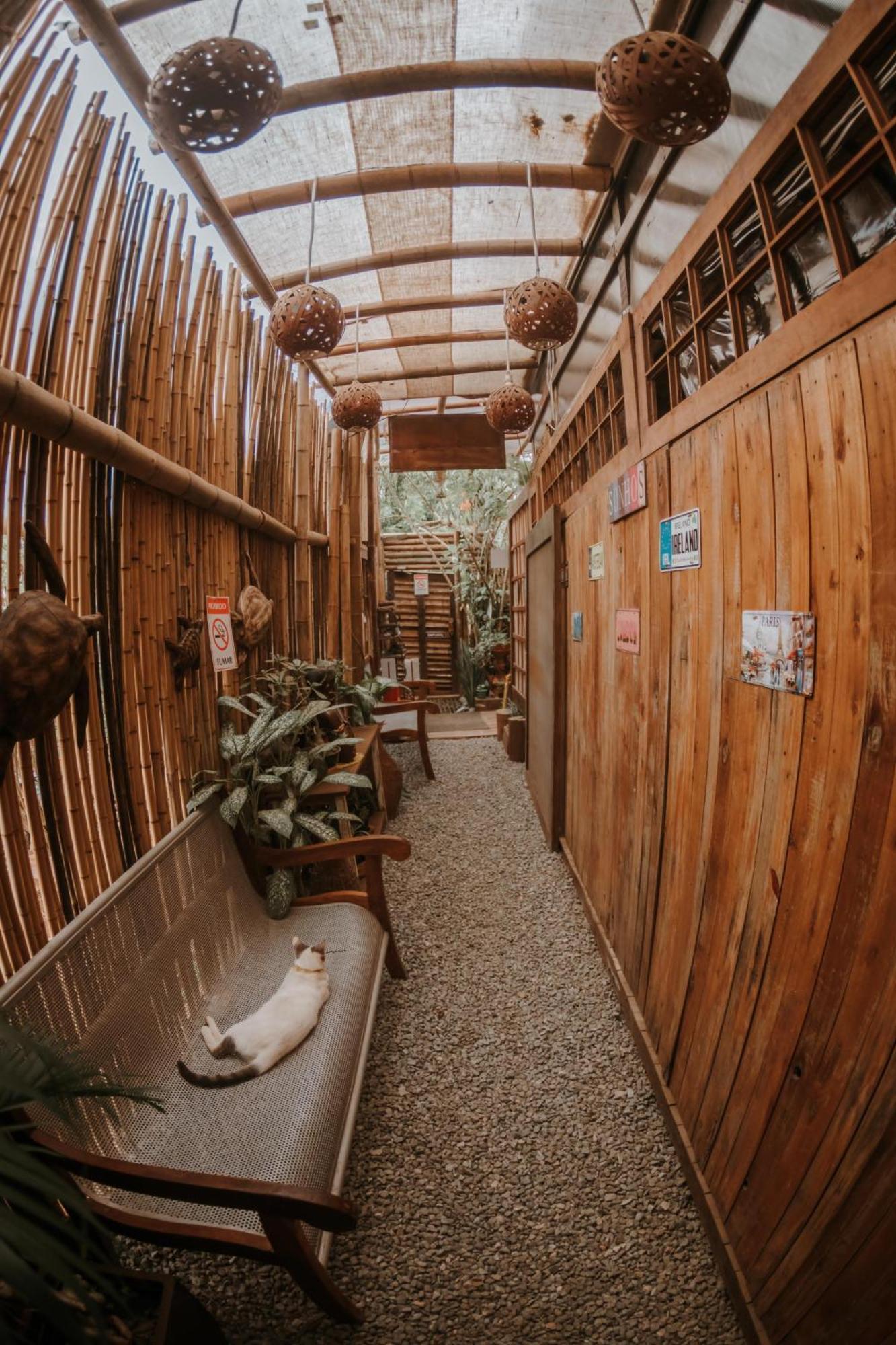 Doce Lar Hostel Noronha Fernando de Noronha Bagian luar foto